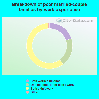 Breakdown of poor married-couple families by work experience